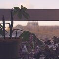 Andrew Zhou - Music for a Dance in the Room Next Door