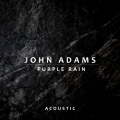 Purple Rain (Acoustic)