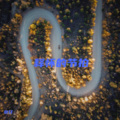 京仔 - 节奏之巅