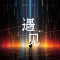 虞77 - 有幸遇见 但无缘