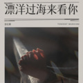 徐长卿 - 漂洋过海来看你