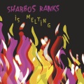 Shabbos Ranks、Scientist - Slide (Scientist dub mix)