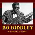 Bo Diddley Is Loose