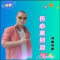 伤心离别泪Dj