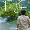 Tere Bina