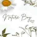 Relaxing Music - Strengthens The Immune System