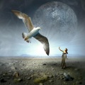 City of Harmony、8Dawn、music junkies、City Of The Fallen - We Are Saved from Enormous Threat
