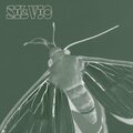 Silvio - no way