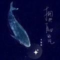 卡迪哥 - 拥抱自由的风