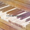 11 Bossa Nova Romance Echoes