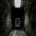 Strange、temporxry - anaconda (feat. Temporxry)(Explicit)
