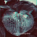 Rydm - Skipping Sleep