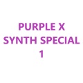 Purple X - We Just Wanna Party