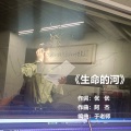 悠悠 - 笼中鸟