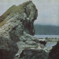 Motorama - No More Time