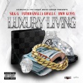 Luxury Living (feat. FatBoi Gwalla Gwalla & BMW Kenny)(Explicit)