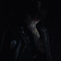 l.u.s.t. - Rotted To The Core
