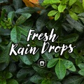Sounds Of Nature - Mid Term