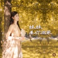 妹妹等你回家 (DJ版)