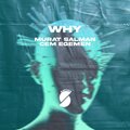 Murat Salman、Cem Egemen、Satsuma Music - Why (Explicit)