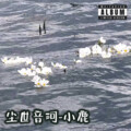 尘世音河 - 天若有情