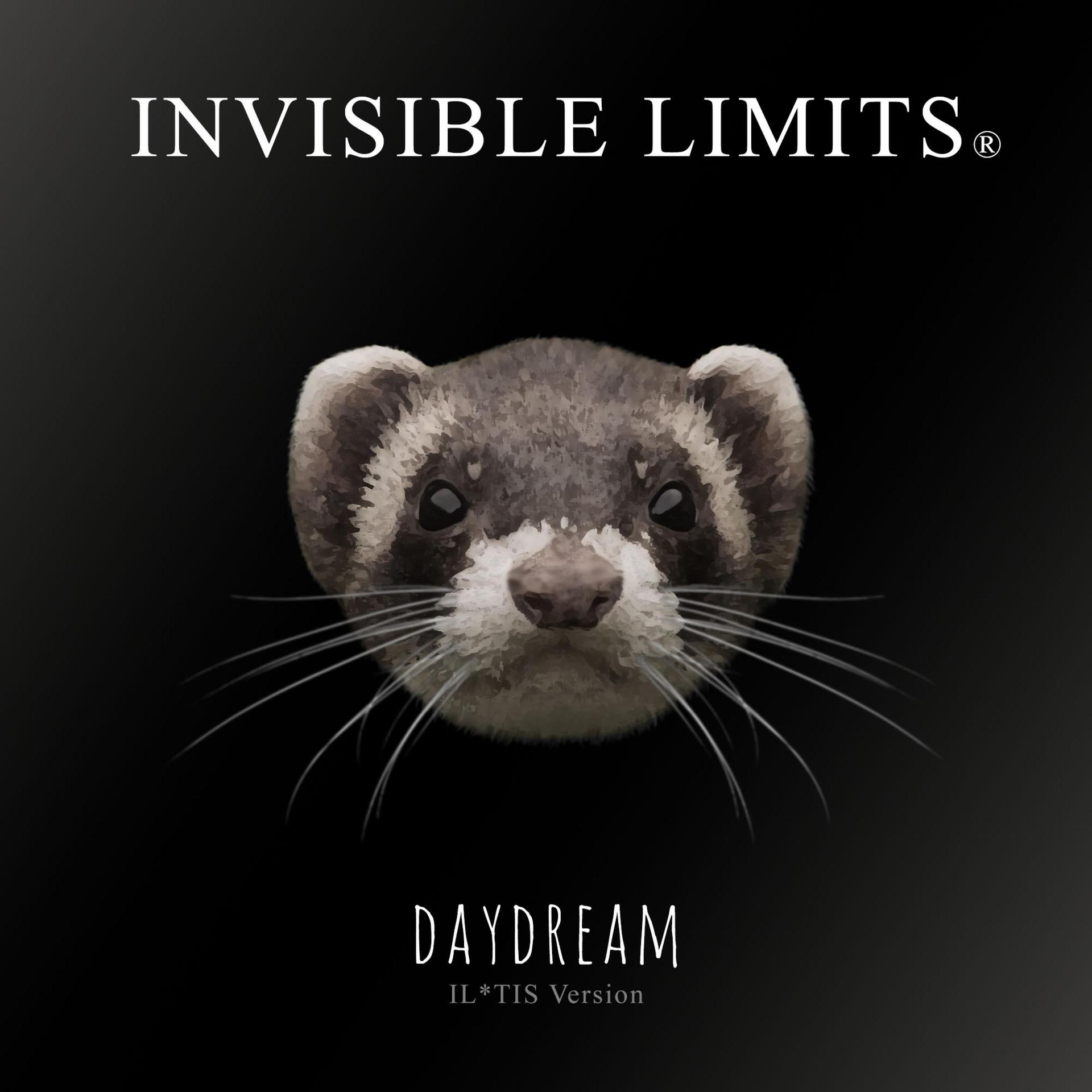 Invisible Limits - Daydream (IL*TIS Version)