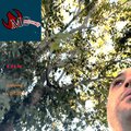 MC Redwolf、Voltaire - Grow (feat. Voltaire)(Explicit)
