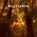 O.P. - Autumn