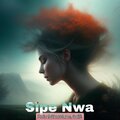 Salle、Pmix、Shawtune - Sipe Nwa