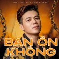 Bạn Ổn Không (Son2M Remix)