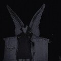 LFTD HGHTS、Zave - bullet in my brain (feat. Zave)(Explicit)