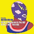 The Bees - Sky Holds The Dub
