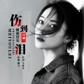 洋澜一 - 伤到极致没有泪
