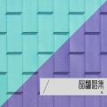 王晶 - 花轿里的人