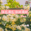 让花成花 让树成树 (释怀版)