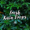 Fresh Rain Drops