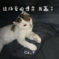 Cz_9 - 國士無双