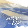 陈亦洺 - 我想陪你去长沙