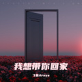 我想带你回家