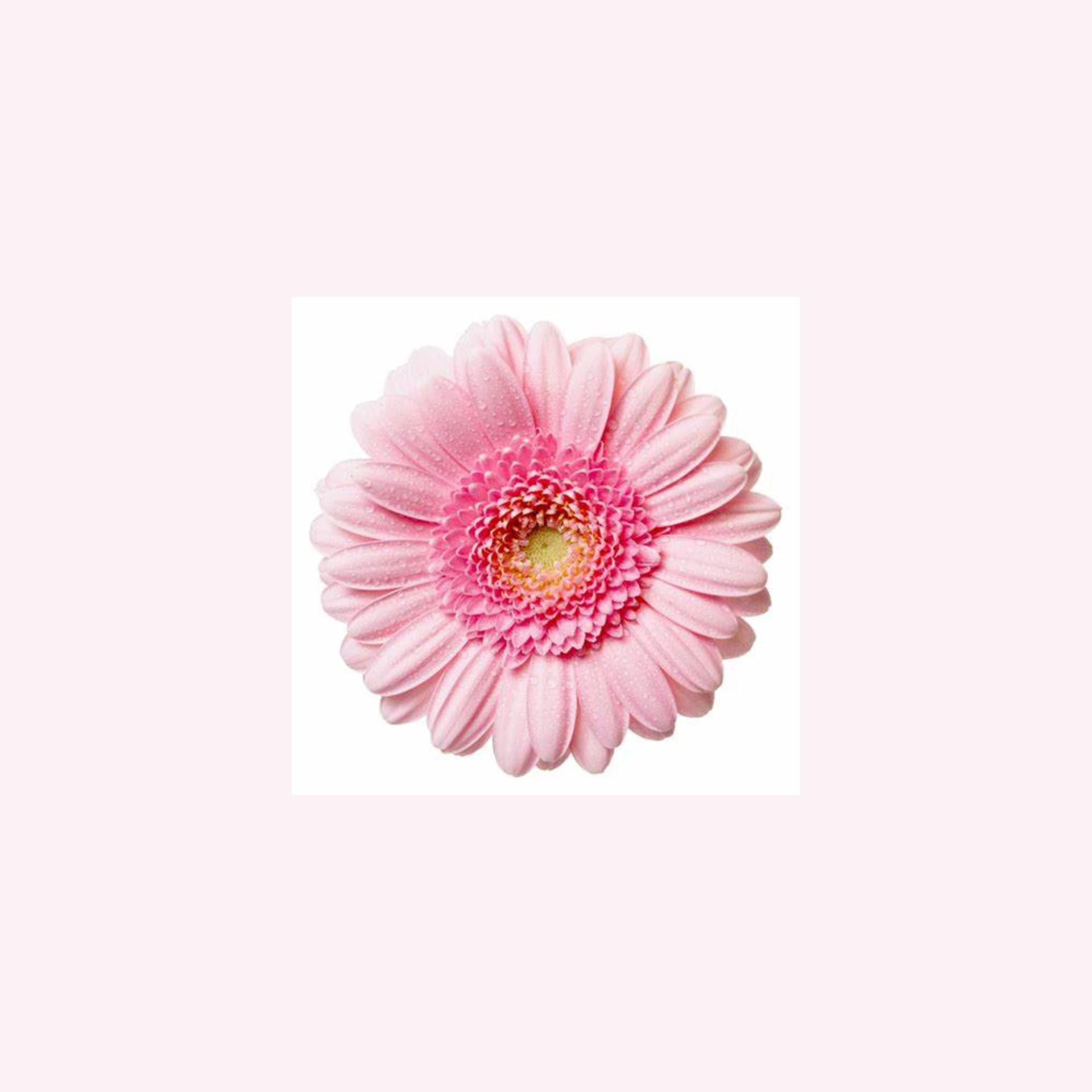 Kevn_black - I.l.y