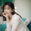 苏楚力 - 匆匆那年