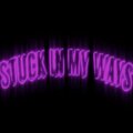 Suelo Swerve、Baby Jayy - Stuck In My Ways (feat. Baby Jayy)(Explicit)