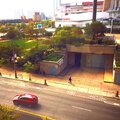 Yashaofsauga - The Forth Horse Is Green