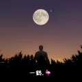 鹤鹤有名 - 无憾