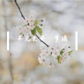 不见长安·梦璃