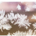 我期待的不是雪而是有你的冬天