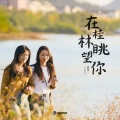 芸箐、鱼板音乐 - 在桂林眺望你