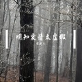 宋东义 - 拿着青春陪你玩
