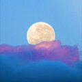 Prod Yumei - moonlight