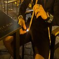 degree - RISK (Explicit)